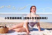 小生意最新商机（地摊小生意最新商机）