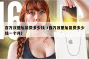 百万汉堡加盟费多少钱（百万汉堡加盟费多少钱一个月）