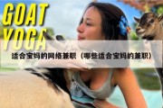 适合宝妈的网络兼职（哪些适合宝妈的兼职）