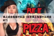 镇上适合加盟什么店（在乡镇上加盟什么项目好?）
