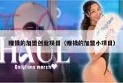 赚钱的加盟创业项目（赚钱的加盟小项目）