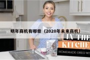 明年商机有哪些（2020年未来商机）