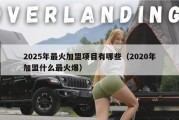 2025年最火加盟项目有哪些（2020年加盟什么最火爆）