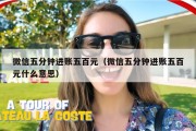 微信五分钟进账五百元（微信五分钟进账五百元什么意思）