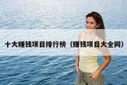 十大赚钱项目排行榜（赚钱项目大全网）
