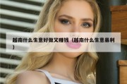越南什么生意好做又赚钱（越南什么生意暴利）
