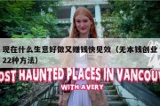 现在什么生意好做又赚钱快见效（无本钱创业22种方法）