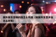 国外做生意赚的钱怎么回国（做国外生意资金怎么转账）