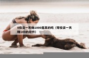 0投资一天赚1000是真的吗（零投资一天赚100的软件）