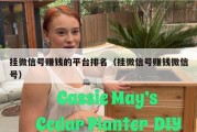 挂微信号赚钱的平台排名（挂微信号赚钱微信号）