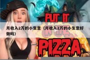 月收入2万的小生意（月收入2万的小生意好做吗）