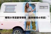 赚钱小项目都有哪些（最新赚钱小项目）