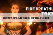家庭加工创业小项目骗局（家里加工小创业）