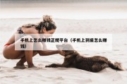 手机上怎么赚钱正规平台（手机上到底怎么赚钱）