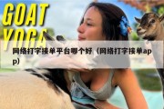 网络打字接单平台哪个好（网络打字接单app）
