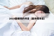 2019最赚钱的项目（最挣钱项目）