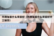代理加盟什么项目好（代理加盟什么项目好手工制作）