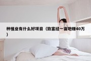种植业有什么好项目（致富经一亩地赚40万）