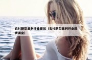 农村新型暴利行业现状（农村新型暴利行业现状调查）