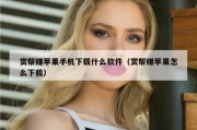 赏帮赚苹果手机下载什么软件（赏帮赚苹果怎么下载）