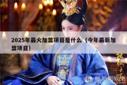 2025年最火加盟项目是什么（今年最新加盟项目）