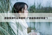 创业投资什么项目好（"创业投资好项目"）
