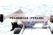 汐怎么读音是什么读（汐字怎么读音）