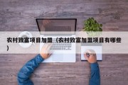 农村致富项目加盟（农村致富加盟项目有哪些）