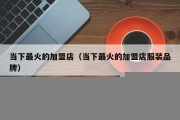 当下最火的加盟店（当下最火的加盟店服装品牌）