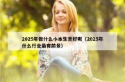 2025年做什么小本生意好呢（2025年什么行业最有前景）