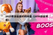 2025年创业最好的项目（2050创业项目）