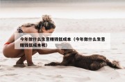 今年做什么生意赚钱低成本（今年做什么生意赚钱低成本呢）