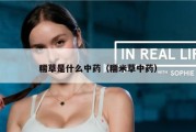 糯草是什么中药（糯米草中药）