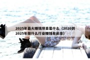 2025年最火赚钱项目是什么（2020到2025年做什么行业赚钱有前景）