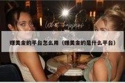 赚美金的平台怎么用（赚美金的是什么平台）