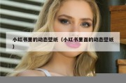 小红书里的动态壁纸（小红书里面的动态壁纸）
