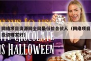 网络项目资源网全网最低价合伙人（网络项目投资哪家好）