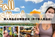 懒人用品店去哪里进货（开个懒人用品店）