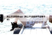 网上干活接单app（网上干活接单平台哪个好）