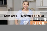 小型塑料加工厂（小型塑料加工厂投资）