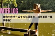 赚钱小程序一天十几元薅羊毛（薅羊毛第一线报平台）