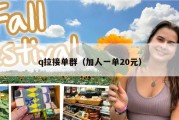 q拉接单群（加人一单20元）