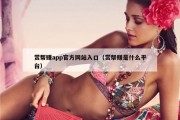 赏帮赚app官方网站入口（赏帮赚是什么平台）