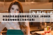挣钱的灰色渠道有哪些第三方支付（挣钱的灰色渠道有哪些第三方支付业务）