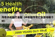 传奇手机版打金版（手机版传奇打金游戏哪个好）