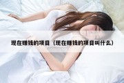 现在赚钱的项目（现在赚钱的项目叫什么）