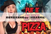 网络项目资源网库app（项目资源网站）