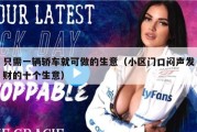 只需一辆轿车就可做的生意（小区门口闷声发财的十个生意）