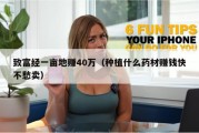 致富经一亩地赚40万（种植什么药材赚钱快不愁卖）