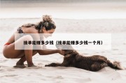 接单能赚多少钱（接单能赚多少钱一个月）
